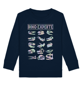 Dinosaurier Jungs Mädchen Dino Experte Kinder Sweatshirt