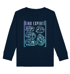 Dinosaurier Jungs Mädchen Dino Experte Sweatshirt