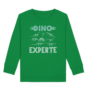 Dino Experte Kinder Dinosaurier Fan Sweatshirt