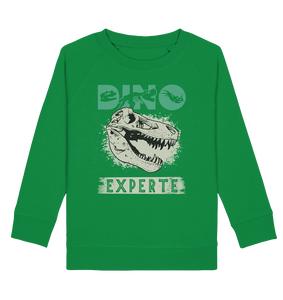 Dinosaurier Fan Dino Experte Kinder Sweatshirt