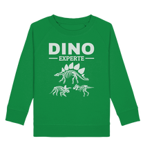 Laden Sie das Bild in den Galerie-Viewer, Dinosaurier Experte Kinder Dino Fan Sweatshirt
