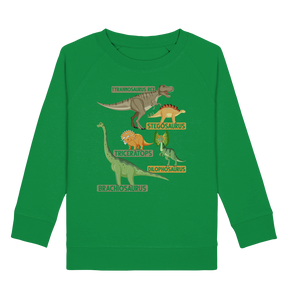 Kinder Dinosaurier Experte Dino Trex Sweatshirt