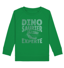 Laden Sie das Bild in den Galerie-Viewer, Dino Experte Dinosaurier Kinder Sweatshirt
