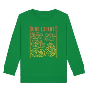 Dinosaurier Experte Jungs Dino Fan Sweatshirt