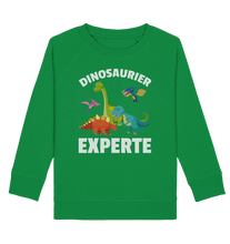 Laden Sie das Bild in den Galerie-Viewer, Jungs Mädchen Dino Kinder Dinosaurier Experte Sweatshirt
