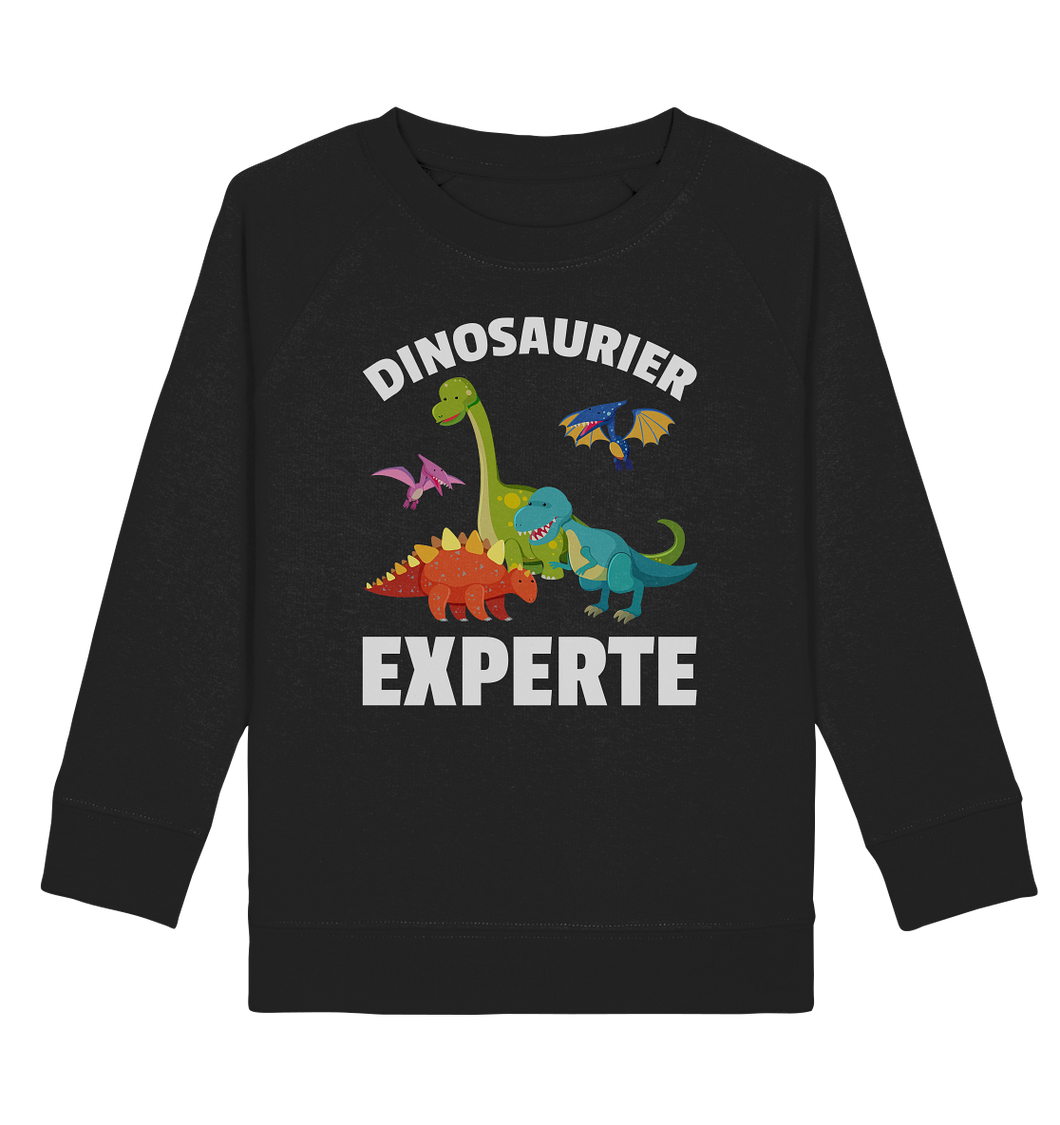 Jungs Mädchen Dino Kinder Dinosaurier Experte Sweatshirt