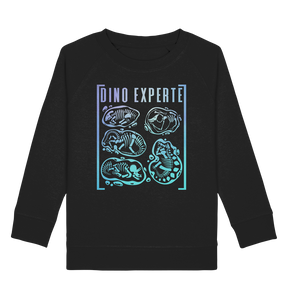 Dinosaurier Jungs Mädchen Dino Experte Sweatshirt