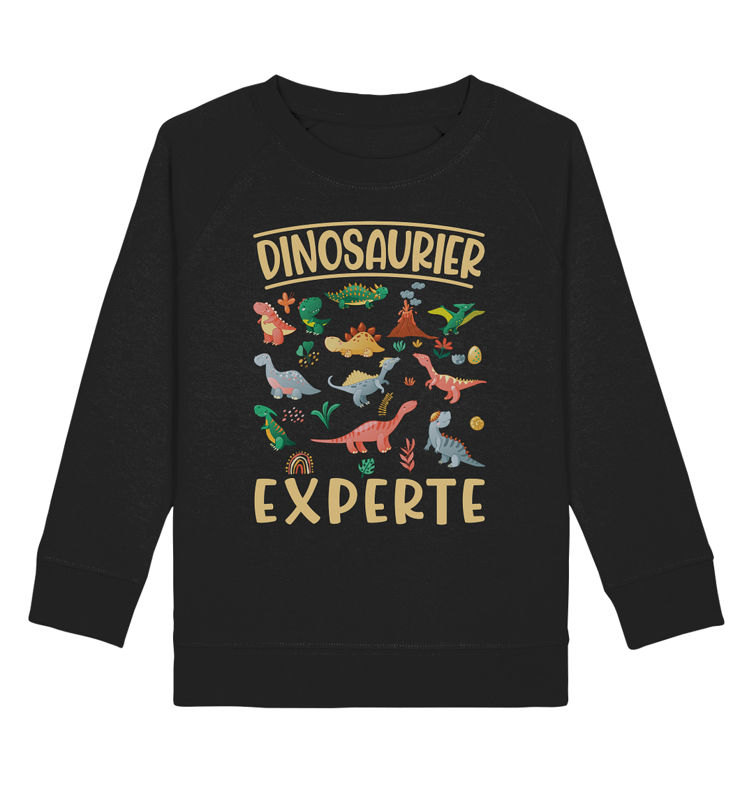 Dinosaurier Experte Dino Kinder Sweatshirt