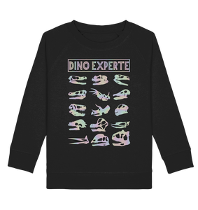 Dinosaurier Jungs Mädchen Dino Experte Kinder Sweatshirt