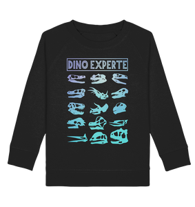 Dino Experte Kinder Dinosaurier Sweatshirt