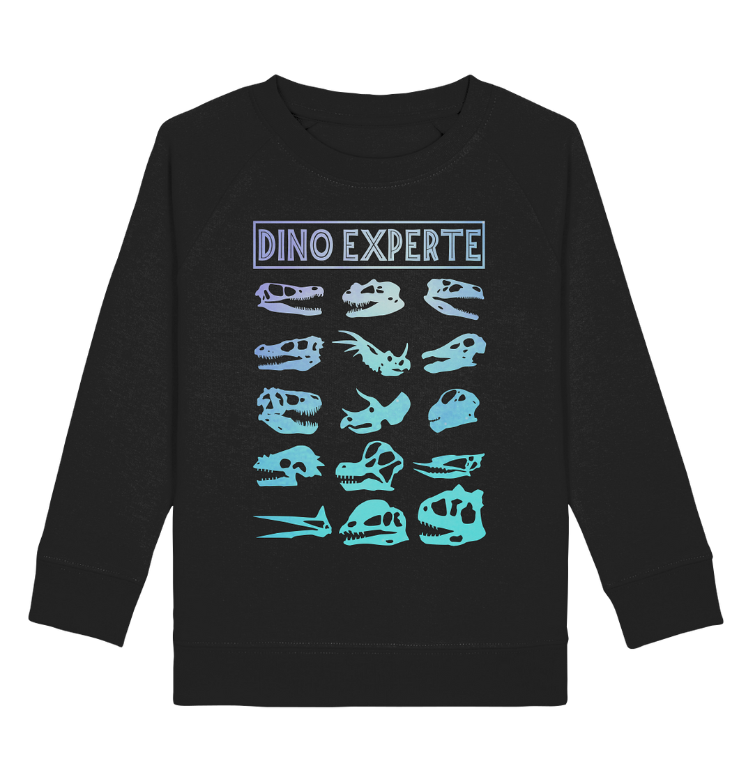 Dino Experte Kinder Dinosaurier Sweatshirt