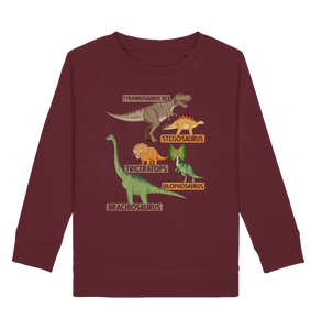 Kinder Dinosaurier Experte Dino Trex Sweatshirt