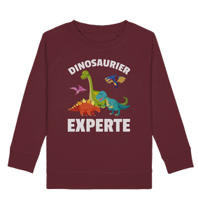 Jungs Mädchen Dino Kinder Dinosaurier Experte Sweatshirt