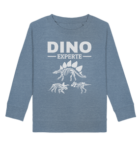 Dinosaurier Experte Kinder Dino Fan Sweatshirt