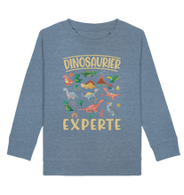 Laden Sie das Bild in den Galerie-Viewer, Dinosaurier Experte Dino Kinder Sweatshirt
