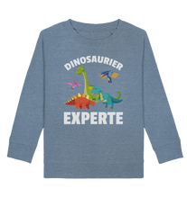 Laden Sie das Bild in den Galerie-Viewer, Jungs Mädchen Dino Kinder Dinosaurier Experte Sweatshirt
