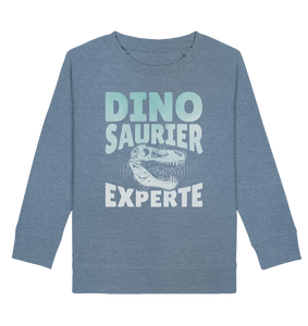 Dinosaurier Jungs Dino Experte Kinder Sweatshirt