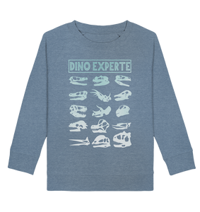 Dinosaurier Fan Dino Experte Kinder Sweatshirt