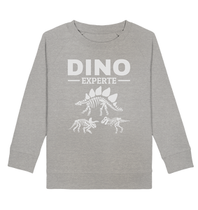 Dinosaurier Experte Kinder Dino Fan Sweatshirt