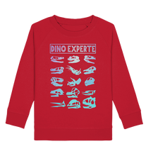 Laden Sie das Bild in den Galerie-Viewer, Dino Experte Kinder Dinosaurier Sweatshirt

