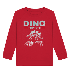 Stegosaurus Dinosaurier Fan Kinder Dino Experte Sweatshirt