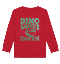 Laden Sie das Bild in den Galerie-Viewer, Dino Experte Dinosaurier Kinder Sweatshirt
