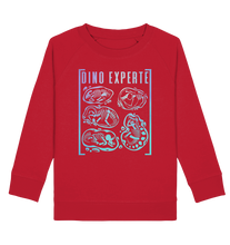 Laden Sie das Bild in den Galerie-Viewer, Dinosaurier Jungs Mädchen Dino Experte Sweatshirt
