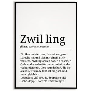 Zwilling Poster Definition - Geschwister Zwillinge Bruder Schwester Geschenk Wandbild